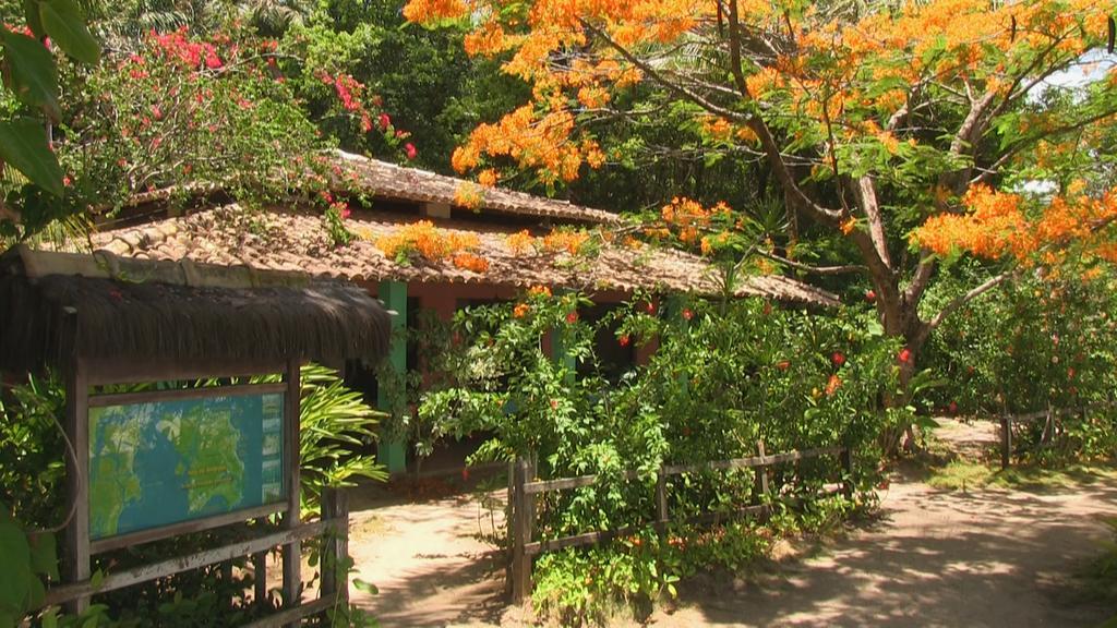 Pousada Tassimirim Velha Boipeba Luaran gambar